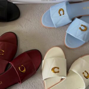 12pcs coach slides