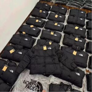The north face jacket